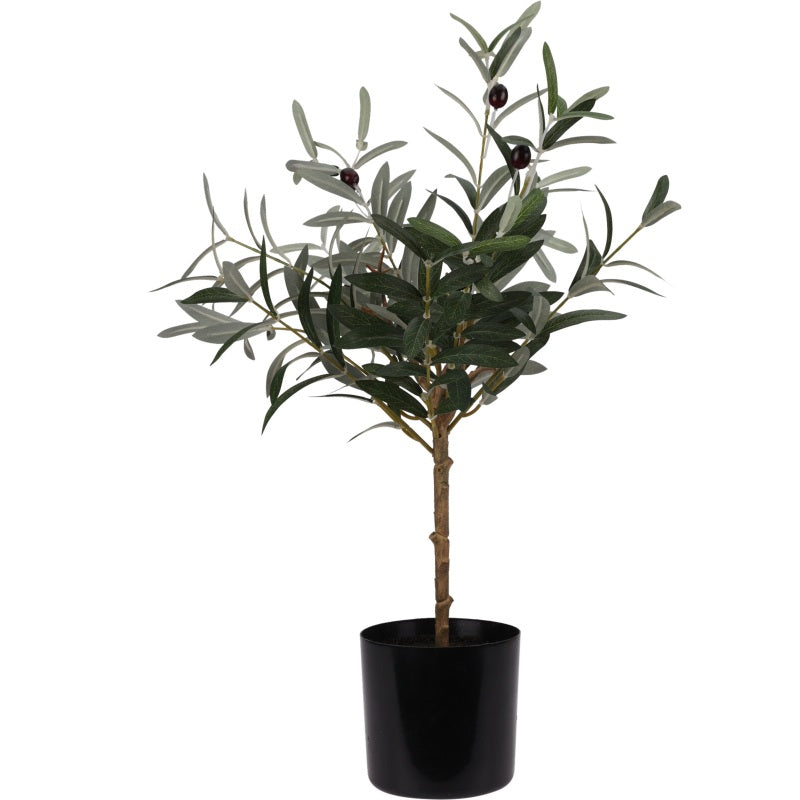 ΓΛΑΣΤΡΑ ΔΕΝΤΡΑΚΙ ΕΛΙΑ 66cm