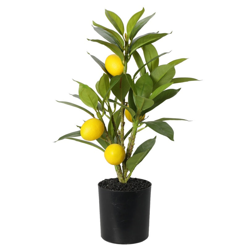 ΓΛΑΣΤΡΑΚΙ ΛΕΜΟΝΙΑ 43cm