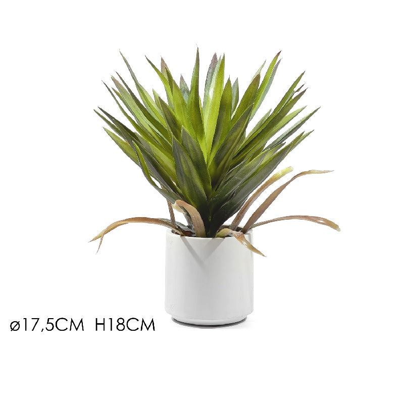 ΓΛΑΣΤΡΑ ΠΡΑΣΙΝΑΔΑ 17.5x45cm