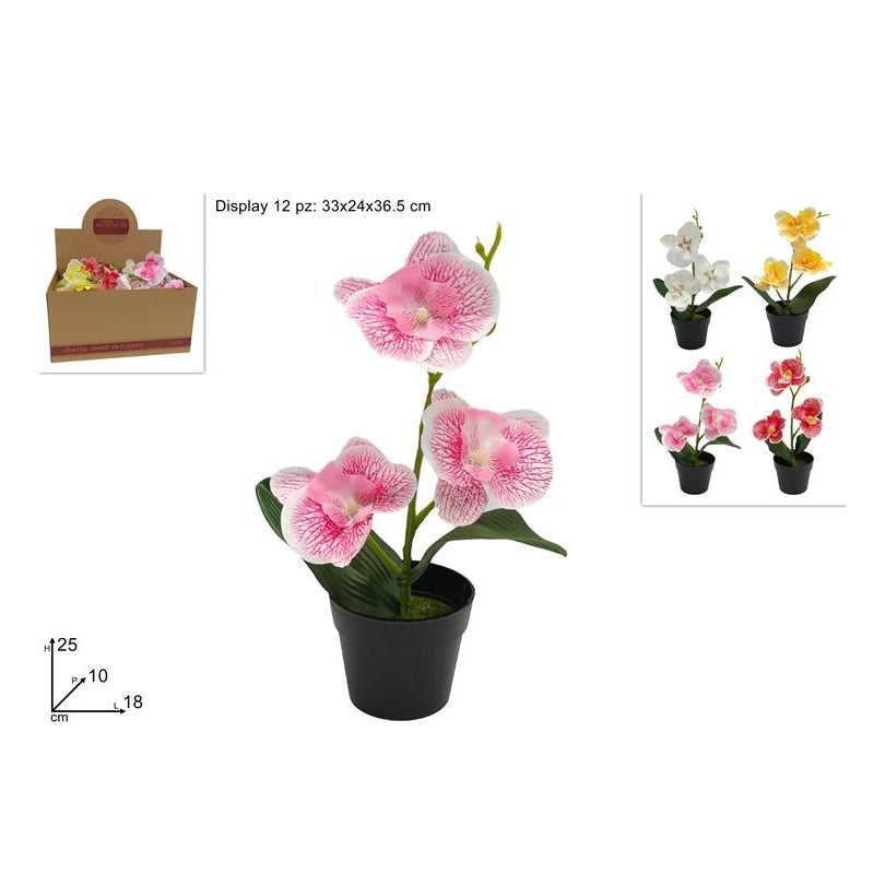 ΓΛΑΣΤΡΑΚΙ ΟΡΧΙΔΕΑ ΠΛΑΣΤΙΚΟ 25cm