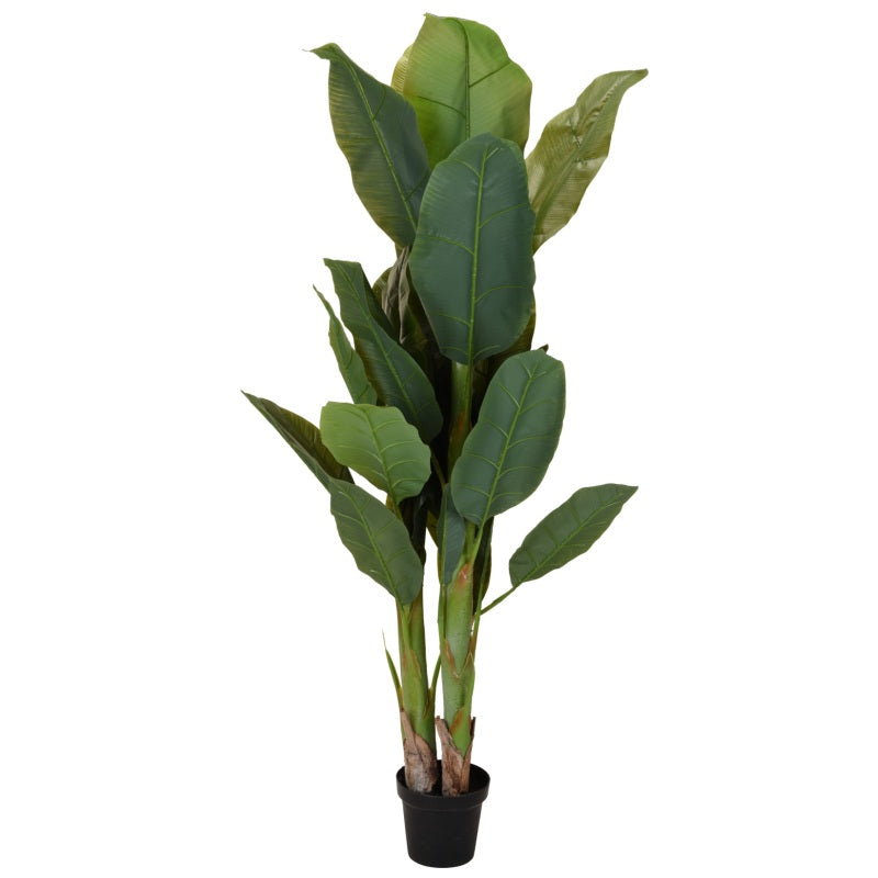 ΓΛΑΣΤΡΑ ΔΕΝΤΡΟ ΜΠΑΝΑΝΙΑ 165cm BOTANICAL DECORATION