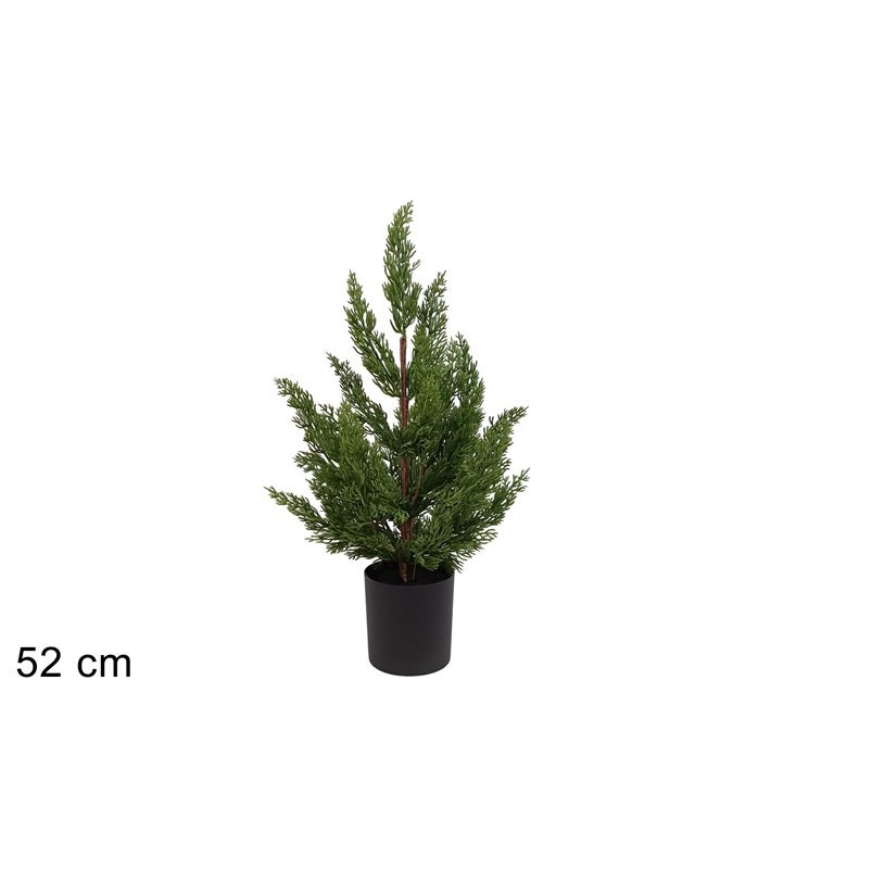 ΔΕΝΤΡΟ ΠΡΑΣΙΝΟ ΣΕ ΓΛΑΣΤΡΑΚΙ 52cm