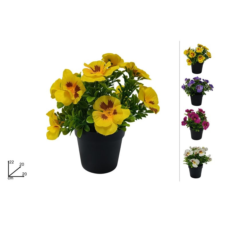 ΓΛΑΣΤΡΑΚΙ ΠΑΝΣΕΔΑΚΙΑ 20cm