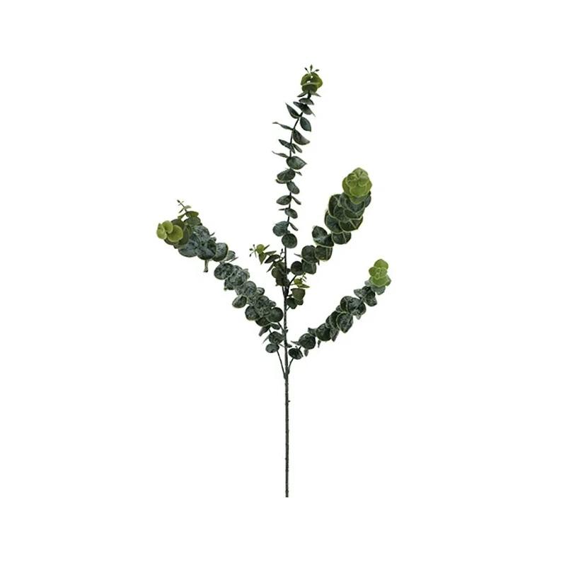 ΚΛΑΔΙ ΕΥΚΑΛΥΠΤΟΣ 88cm 10009