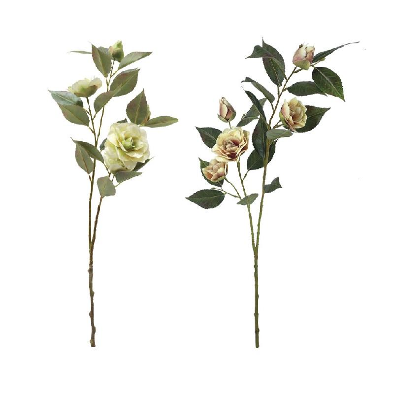 ΚΛΑΔΙ ΚΑΜΕΛΙΑ 69cm 99930
