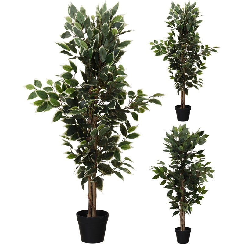 ΓΛΑΣΤΡΑ ΔΕΝΤΡΟ ΦΙΚΟΣ ΜΠΕΝΤΖΑΜΙΝ 115εκ BOTANICAL DECORATION