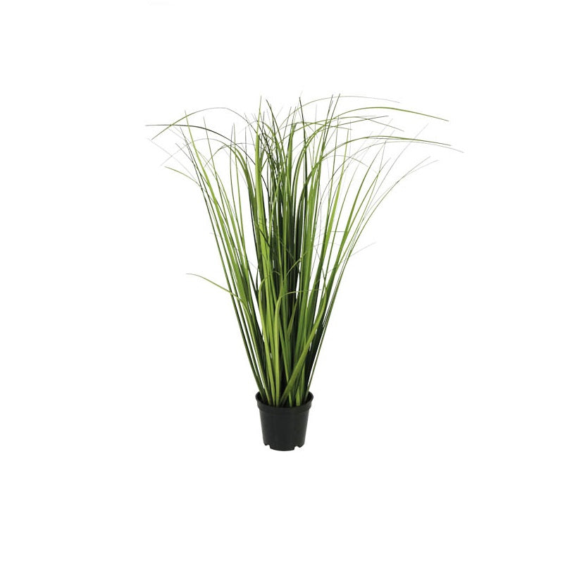 ΓΛΑΣΤΡΑ LEMON GRASS 50cm