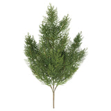 ΚΛΑΔΙ ΠΕΥΚΟ 70cm