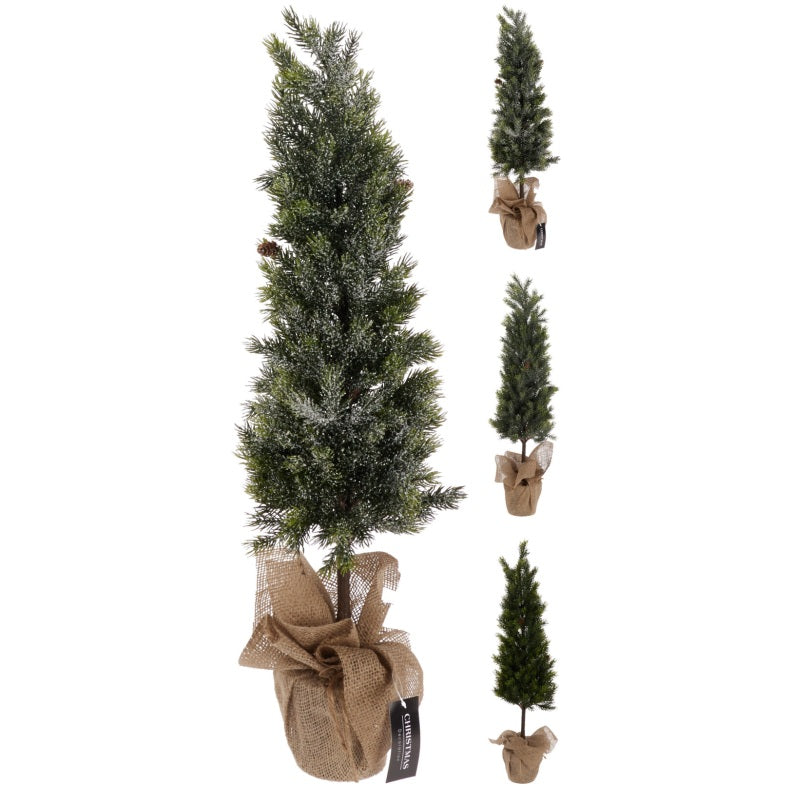 ΔΕΝΤΡΟ 80cm ΣΕ ΚΑΣΠΩ ΛΙΝΑΤΣΑ