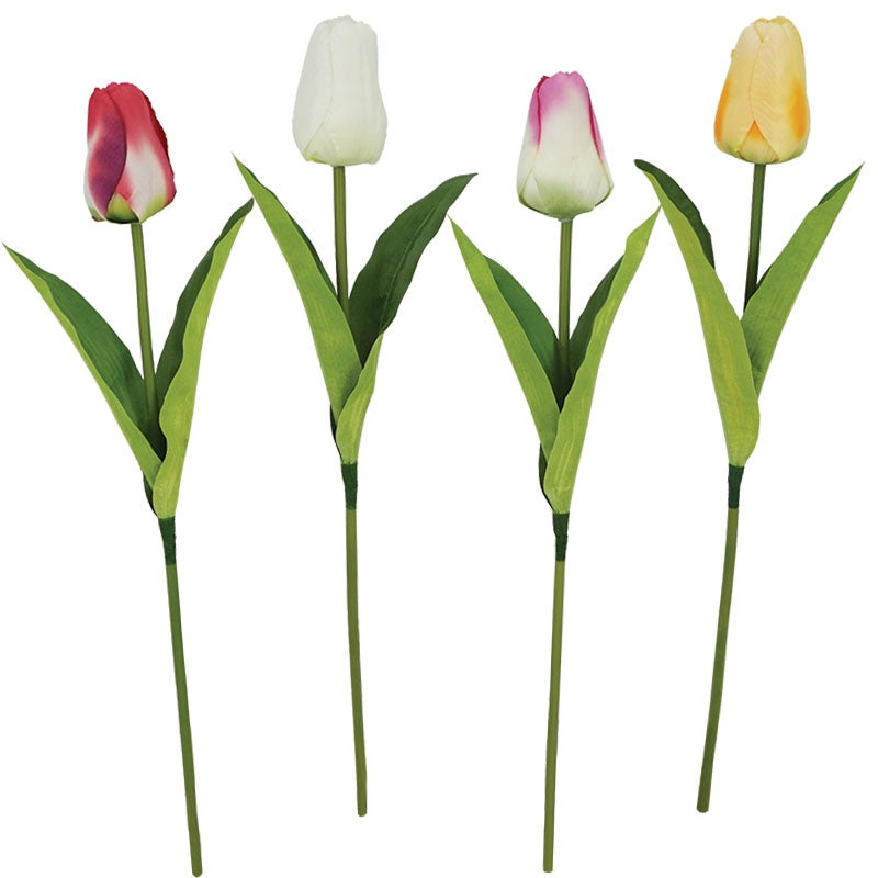 ΚΛΑΔΙ ΤΟΥΛΙΠΑ 55εκ