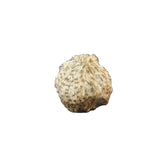 ΜΠΑΛΑ ΓΟΥΝΑ ΚΑΦΕ 8cm