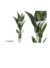 ΔΕΝΤΡΟ ΓΙΟΥΚΑ ΣΕ ΓΛΑΣΤΡΑ 145cm