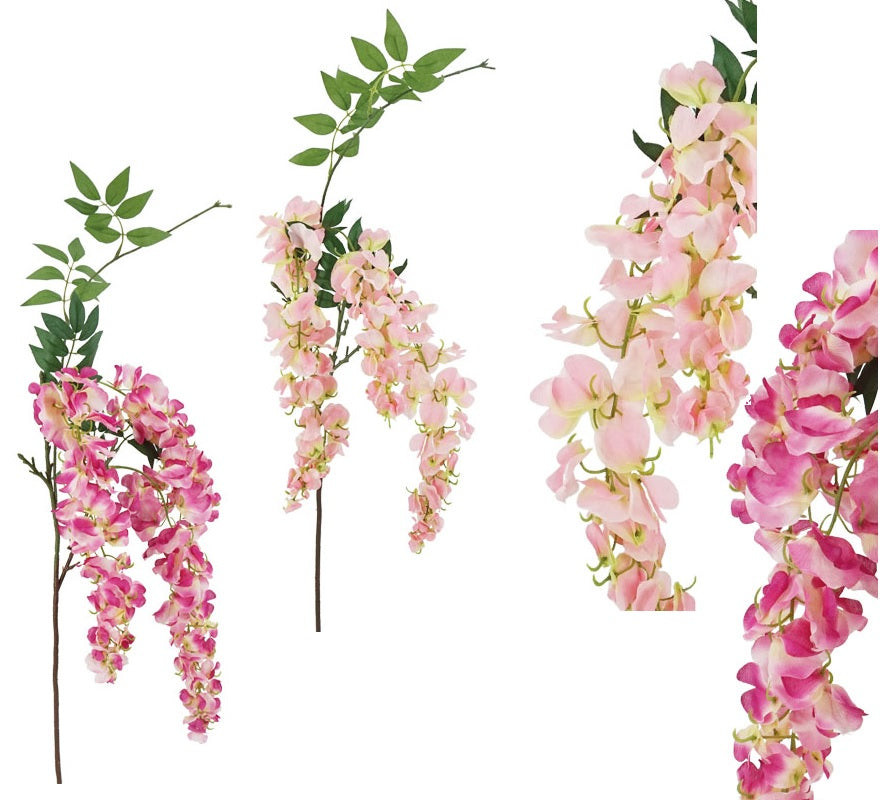 ΚΛΑΔΙ ΑΚΑΚΙΑ ΚΡΕΜΑΣΤΗ 75εκ