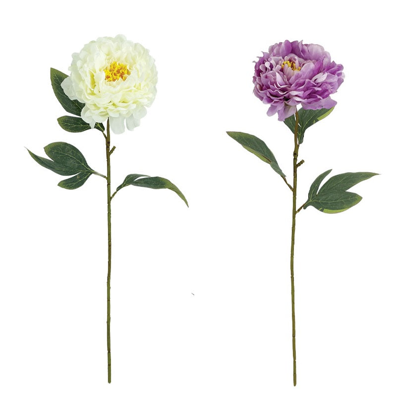 ΚΛΑΔΙ ΠΑΙΩΝΙΑ 61cm 10002