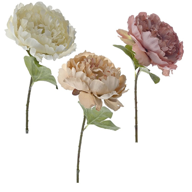 ΚΛΑΔΙ ΠΑΙΩΝΙΑ 51εκ