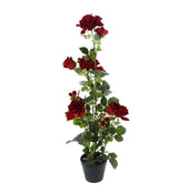ΓΛΑΣΤΡΑ ΤΡΙΑΝΤΑΦΥΛΛΙΑ 95cm BOTANICAL DECORATION