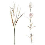 ΚΛΑΔΙ ΣΤΑΧΥΑ 68cm Η&S