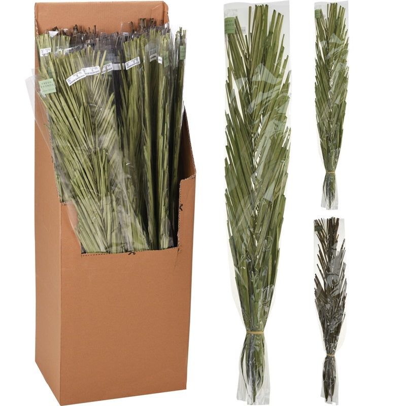 ΚΛΑΔΙΑ KHAJUR 100εκ