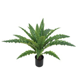 ΔΕΝΤΡΟ ΝΕΟΤΤΟΠΤΕΡΙΣ 65cm 0420013