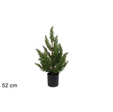 ΔΕΝΤΡΟ ΠΡΑΣΙΝΟ ΣΕ ΓΛΑΣΤΡΑΚΙ 52cm